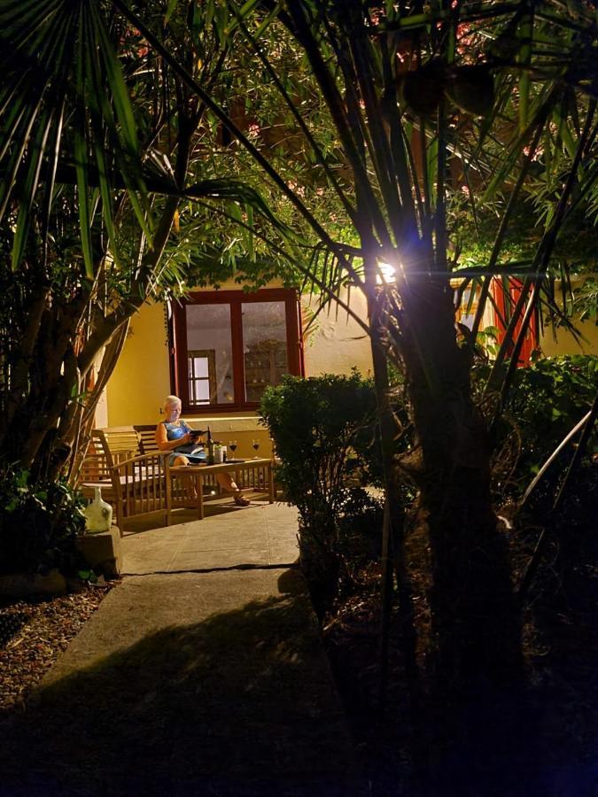 Number15 Guesthouse Carcassone Exterior photo